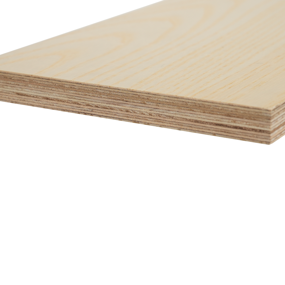 Compensato di betulla impiallacciato in legno 
