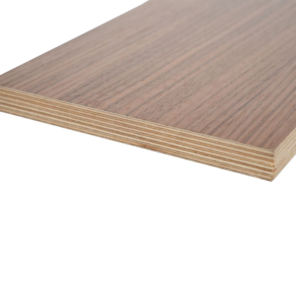 Compensato di betulla impiallacciato in legno 