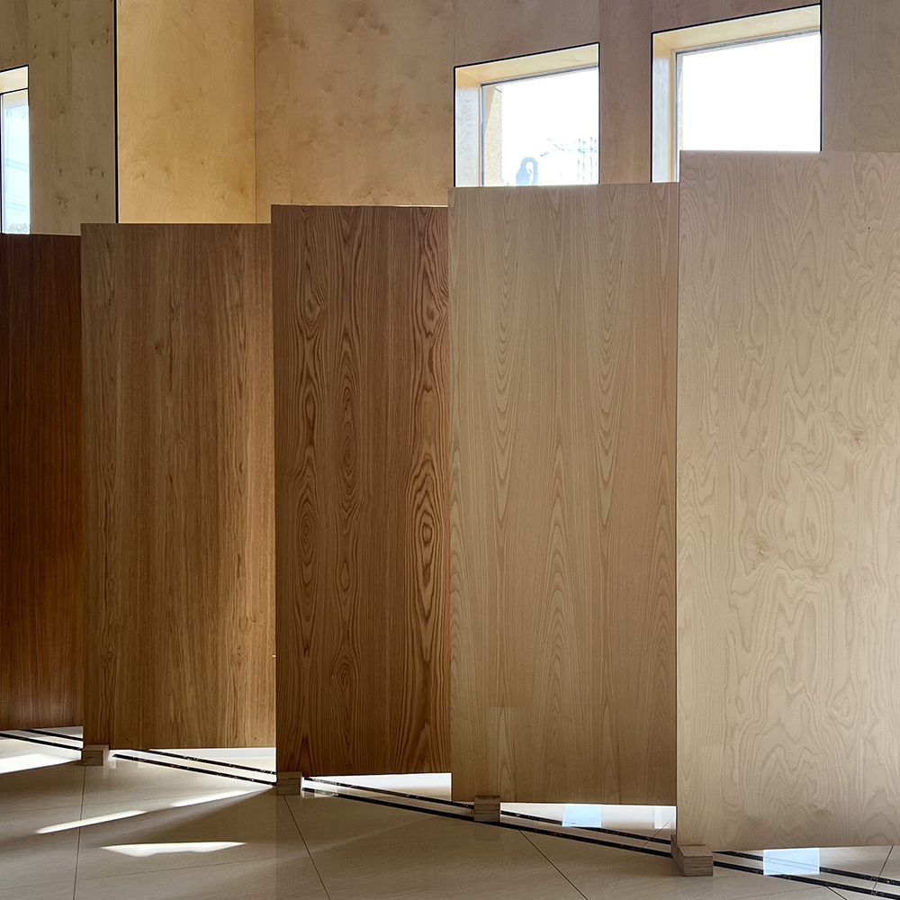 Compensato di betulla impiallacciato in legno 